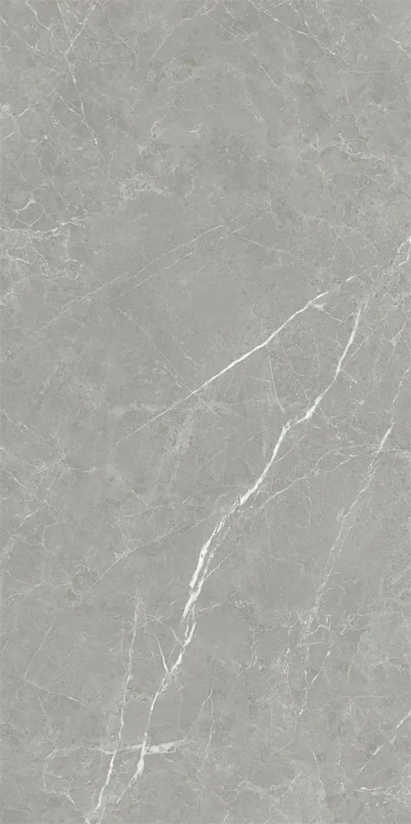 Armani Silver 60x120 - Polished - Premium Tiles from Kimo Group - Just GHS245! Shop now at Kimo in Ghana
